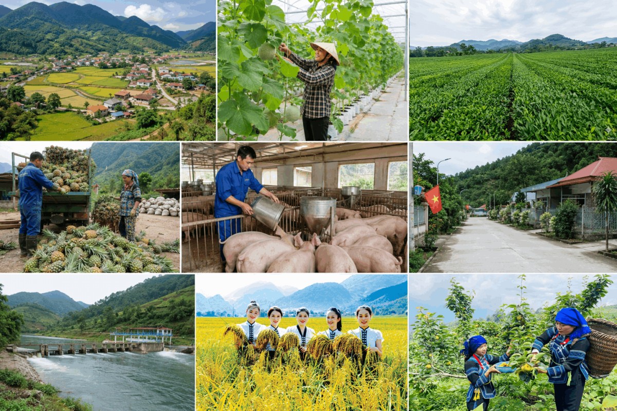 lao cai nhie u gia i phap do ng bo thuc day nong nghiep sinh thai nong thon hien dai