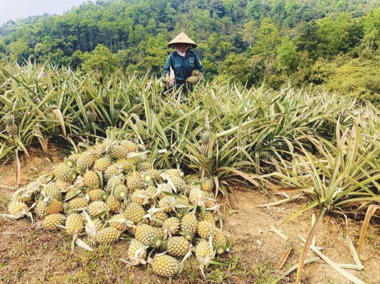Xây dựng người nông dân văn minh - nền tảng phát triển nông nghiệp, nông thôn bền vững