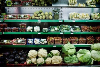 FAO cảnh báo rủi ro an toàn thực phẩm từ nhựa tái chế trong bao bì