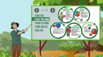 Lâm Đồng siết tiêu chuẩn xuất khẩu nông sản sang Trung Quốc
