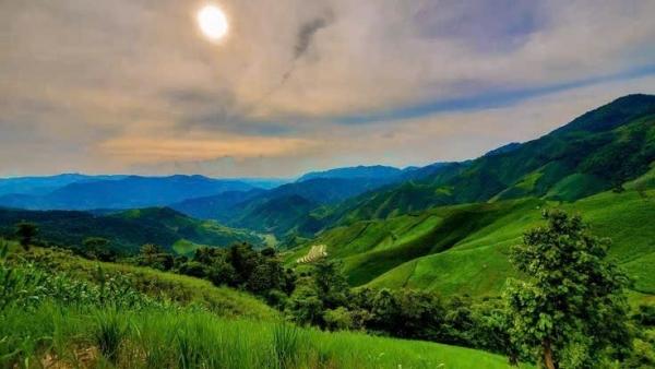Gia lai hợp nhất 29 Ban quản lý rừng phòng hộ, nâng cao hiệu quả quản lý tài nguyên rừng