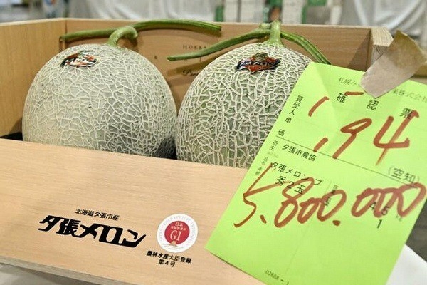 Dưa lưới Yubari Hokkaido gây chú ý với mức giá hơn 36.000 USD