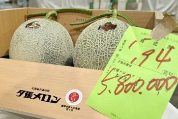 Dưa lưới Yubari Hokkaido gây chú ý với mức giá hơn 36.000 USD