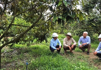 Đẩy mạnh cơ cấu lại ngành nông nghiệp gắn với đổi mới mô hình tăng trưởng