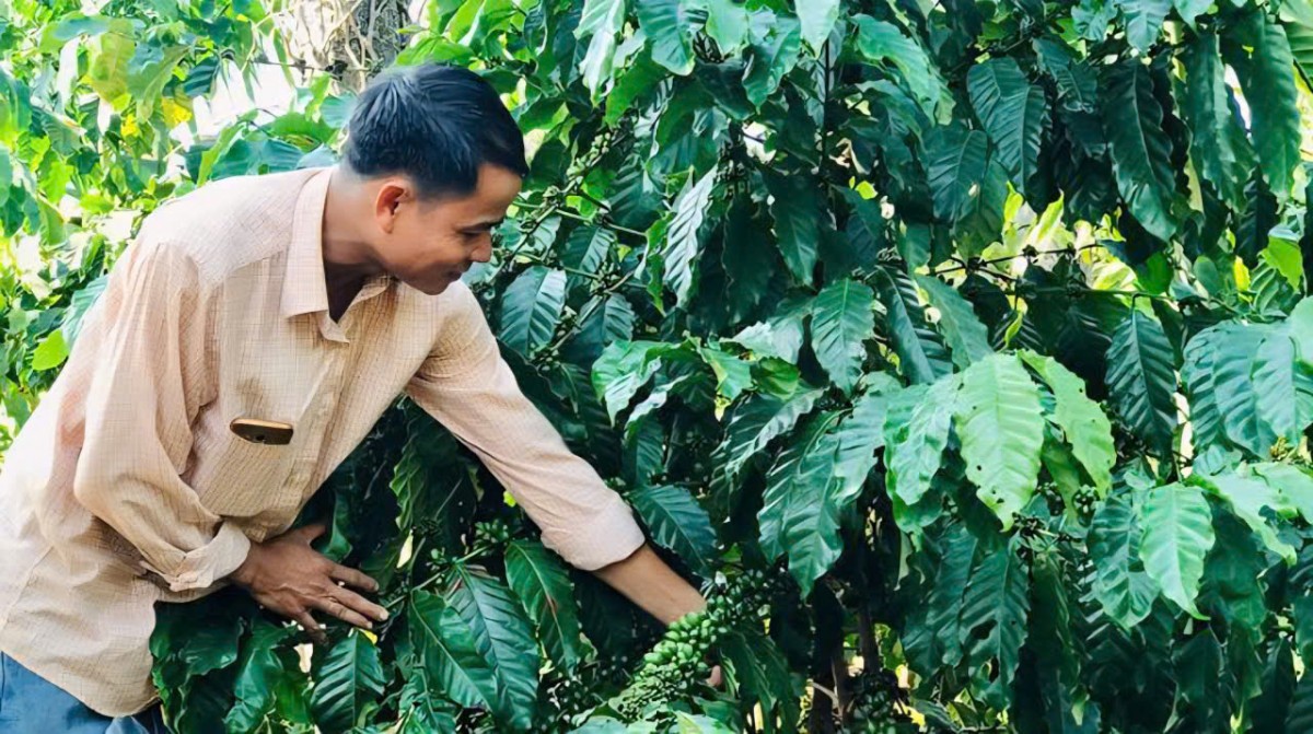 Đẩy mạnh cơ cấu lại ngành nông nghiệp gắn với đổi mới mô hình tăng trưởng