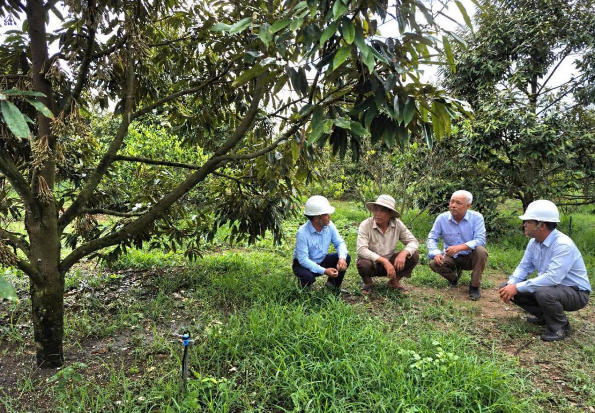 Đẩy mạnh cơ cấu lại ngành nông nghiệp gắn với đổi mới mô hình tăng trưởng