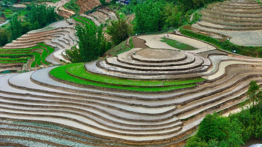 Ngắm vẻ đẹp bình yên của ruộng bậc thang Tả Van mùa nước đổ