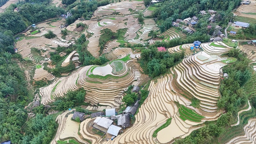 Ngắm vẻ đẹp bình yên của ruộng bậc thang Tả Van mùa nước đổ