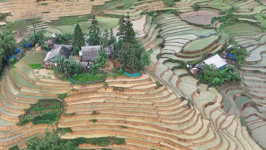 Ngắm vẻ đẹp bình yên của ruộng bậc thang Tả Van mùa nước đổ