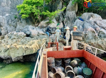 Quảng Ninh: Tiêu hủy 7.000 lồng bè, sau nuôi trồng thủy sản trái phép trên Vịnh Hạ Long