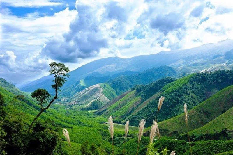 đại ngàn Trường Sơn