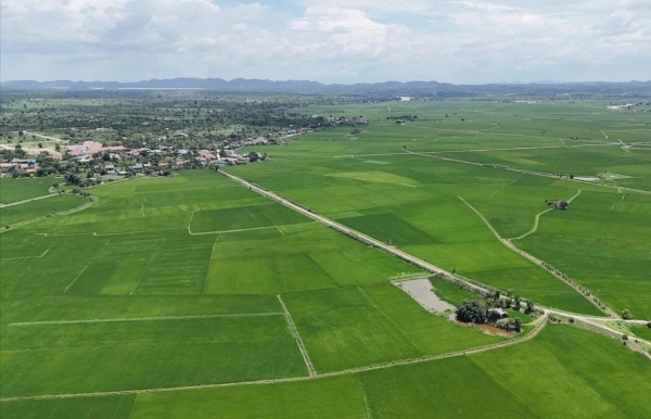 Nông nghiệp trải nghiệm - hướng đi mới thúc đẩy kinh tế nông thôn