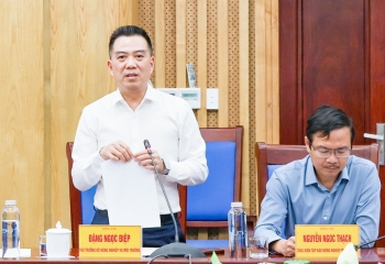 Nghệ An sẵn sàng cho chuỗi sự kiện Môi trường, Biển và Hải đảo quy mô cấp Quốc gia