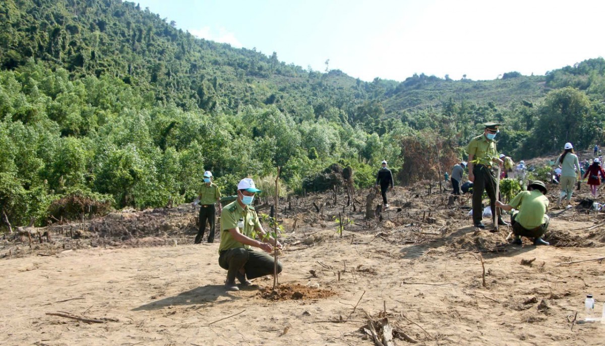 Gia Lai: Kiểm tra công tác quản lý, bảo vệ rừng tại An Lão