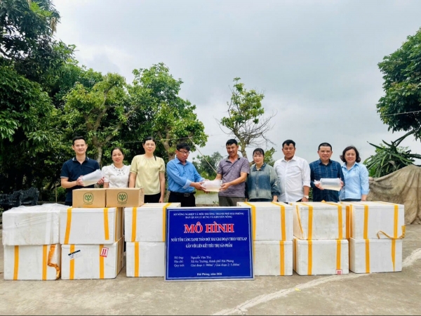 Hải Phòng: Triển khai mô hình nuôi tôm càng xanh toàn đực hai giai đoạn theo chuẩn VietGAP