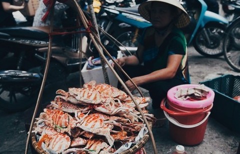 Chợ và sản phẩm hữu cơ - Cầu nối giữa nông nghiệp xanh và người tiêu dùng