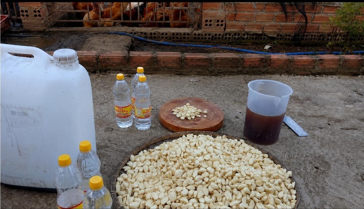 men toi khang sinh tu nhien thuc day phat trien chan nuoi huu co ben vung