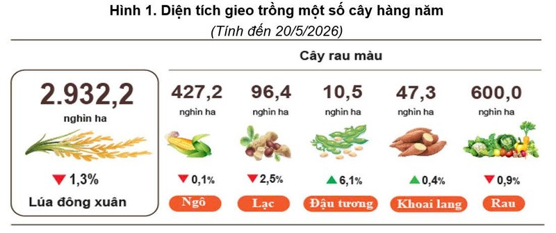 Sản xuất nông nghiệp phục hồi, nuôi trồng thủy sản tiếp tục khởi sắc