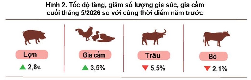 Sản xuất nông nghiệp phục hồi, nuôi trồng thủy sản tiếp tục khởi sắc