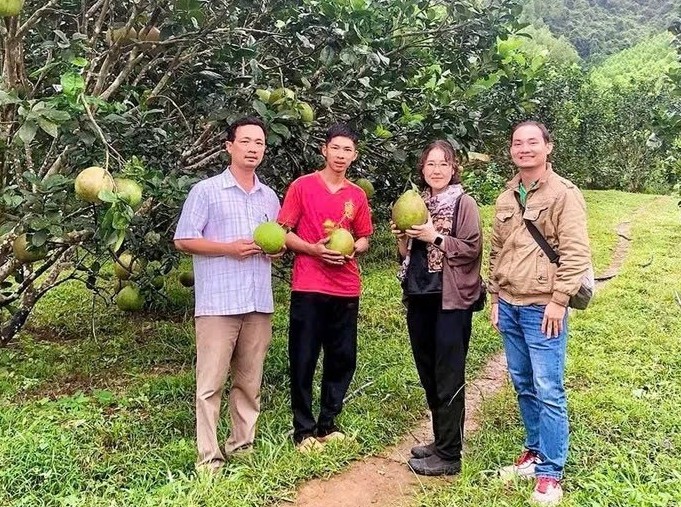 Gia Lai: Đặt mục tiêu có hơn 800 hợp tác xã hoạt động vào năm 2026