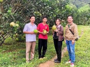 Gia Lai: Đặt mục tiêu có hơn 800 hợp tác xã hoạt động vào năm 2026
