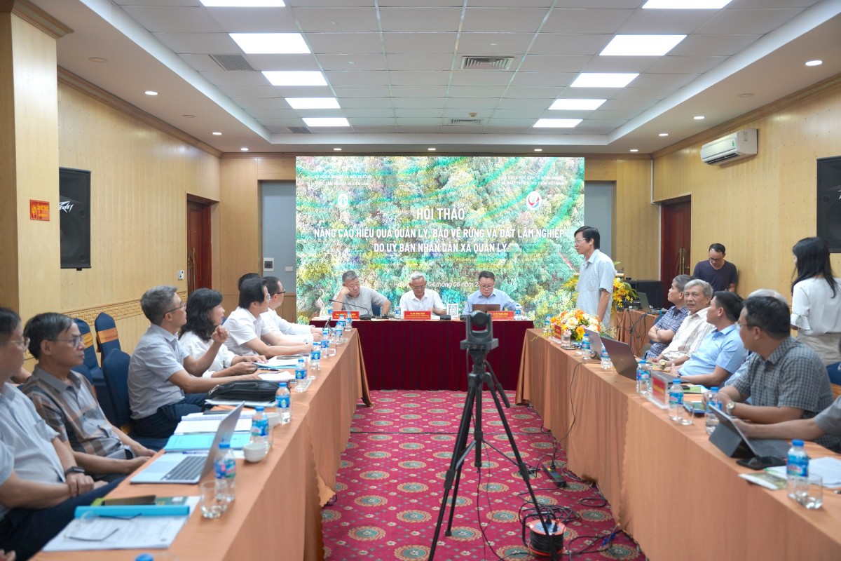 Toàn cảnh Hội thảo “Nâng cao hiệu quả quản lý, bảo vệ rừng, đất lâm nghiệp do Ủy ban nhân dân xã quản lý” diễn ra ngày 4/6 tại Hà Nội.