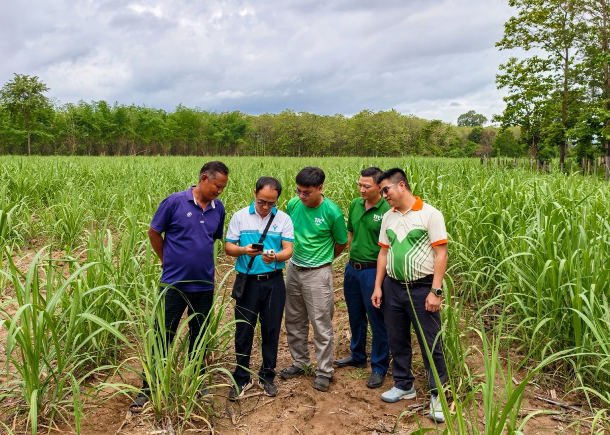 PVFCCo lập 