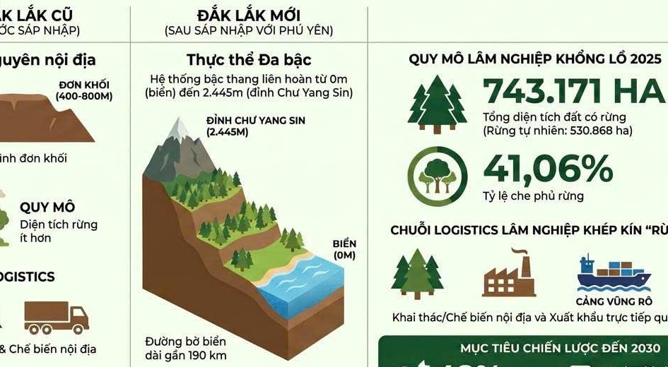 Đắk Lắk triển khai quy hoạch lâm nghiệp 2026–2030 phát huy giá trị đa mục tiêu của rừng