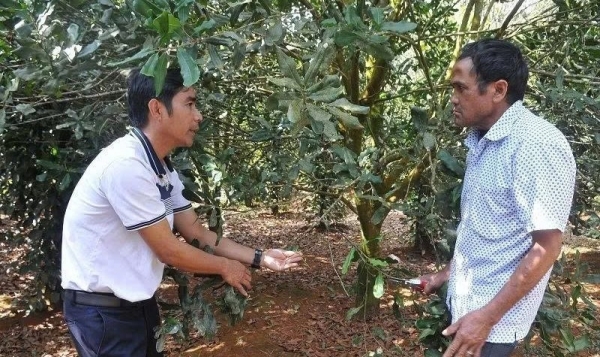 Hiệu quả từ chính sách đất đai đối với đồng bào dân tộc thiểu số ở xã biên giới
