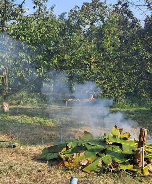Những mặt ưu và nhược điểm của phương pháp đốt lá khô, cỏ rác