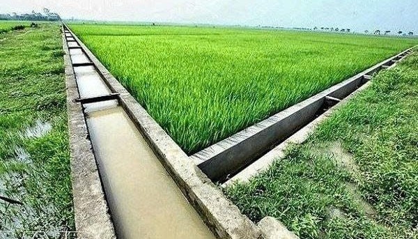 Xã Kiến Đức nâng cao hiệu quả hệ thống thủy lợi, chủ động thích ứng với biến đổi khí hậu