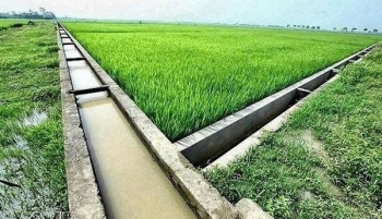 Xã Kiến Đức nâng cao hiệu quả hệ thống thủy lợi, chủ động thích ứng với biến đổi khí hậu