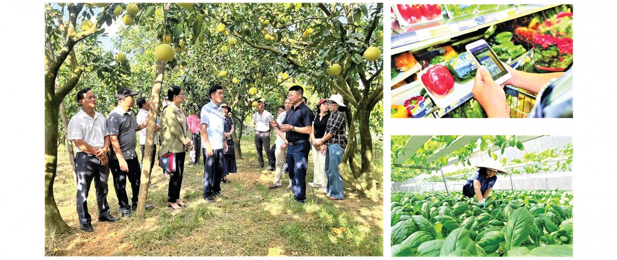 Báo chí - Điểm tựa để nông nghiệp số ‘cất cánh’