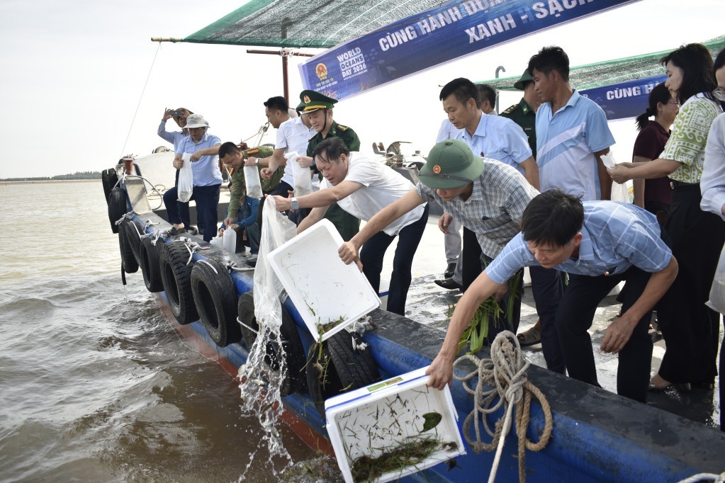 Hưng Yên chung tay làm sạch biển, tái tạo nguồn lợi thủy sản