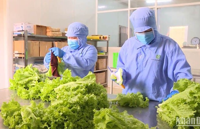 nong nghiep huu co nen tang cua nong nghiep xanh ly luan thuc tien va dinh huong phat trien o viet nam