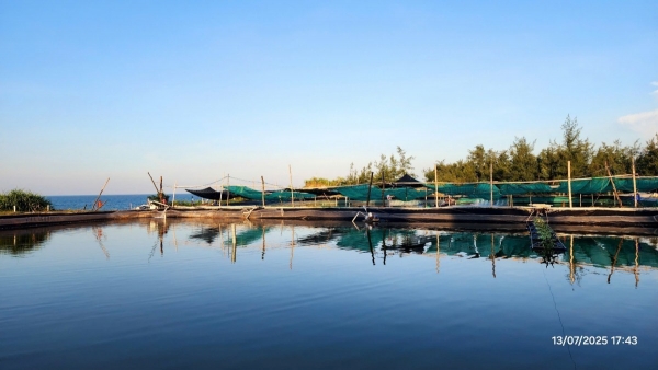 Tp. Huế: Chủ động ứng phó diễn biến môi trường, bảo đảm an toàn nuôi trồng thủy sản