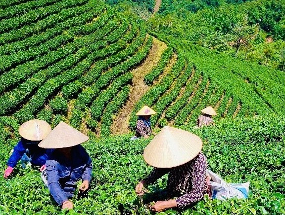 phat trien san xuat gan voi xay dung thuong hieu gia tang gia tri san pham