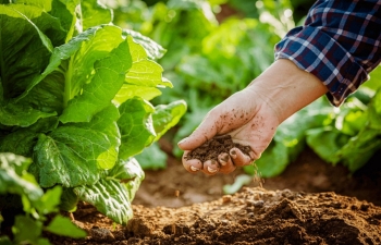 Việt Nam đứng thứ 5 châu Á về diện tích sản xuất nông nghiệp hữu cơ