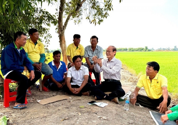 Từ vùng đất phèn đến mùa vàng 7 tấn lúa/ha