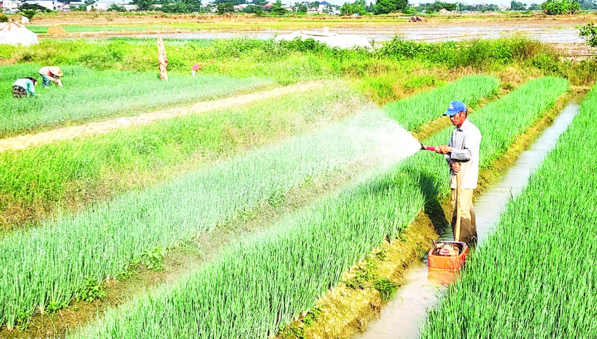 Phát triển kinh tế nông nghiệp xanh, hữu cơ, tuần hoàn