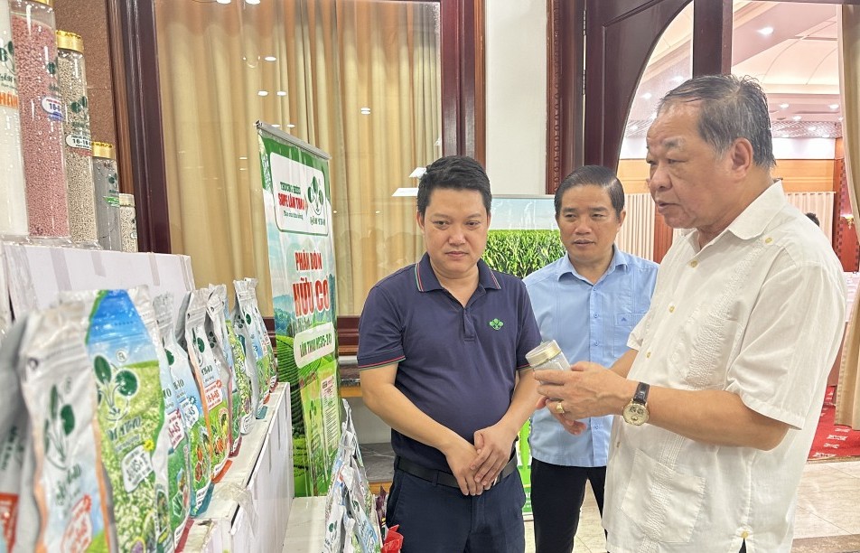 nganh phan bon viet nam truoc yeu cau tu chu xanh hoa va nang cao nang luc canh tranh