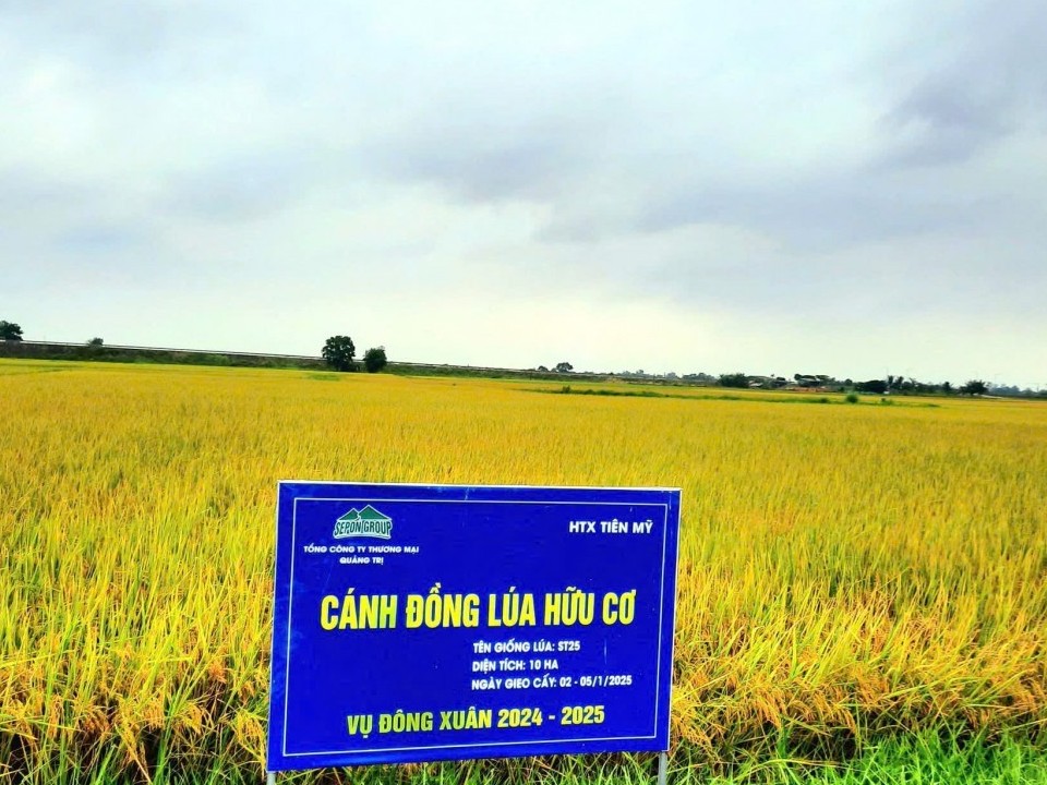 Quảng Trị: Tích tụ, tập trung đất nông nghiệp, hình thành vùng sản xuất hàng hóa quy mô lớn