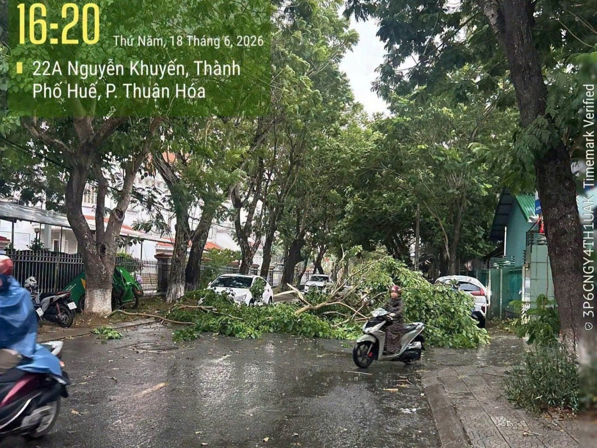 Tp. Huế: Hiện tượng thời tiết cực đoan tác động đến nhiều địa phương