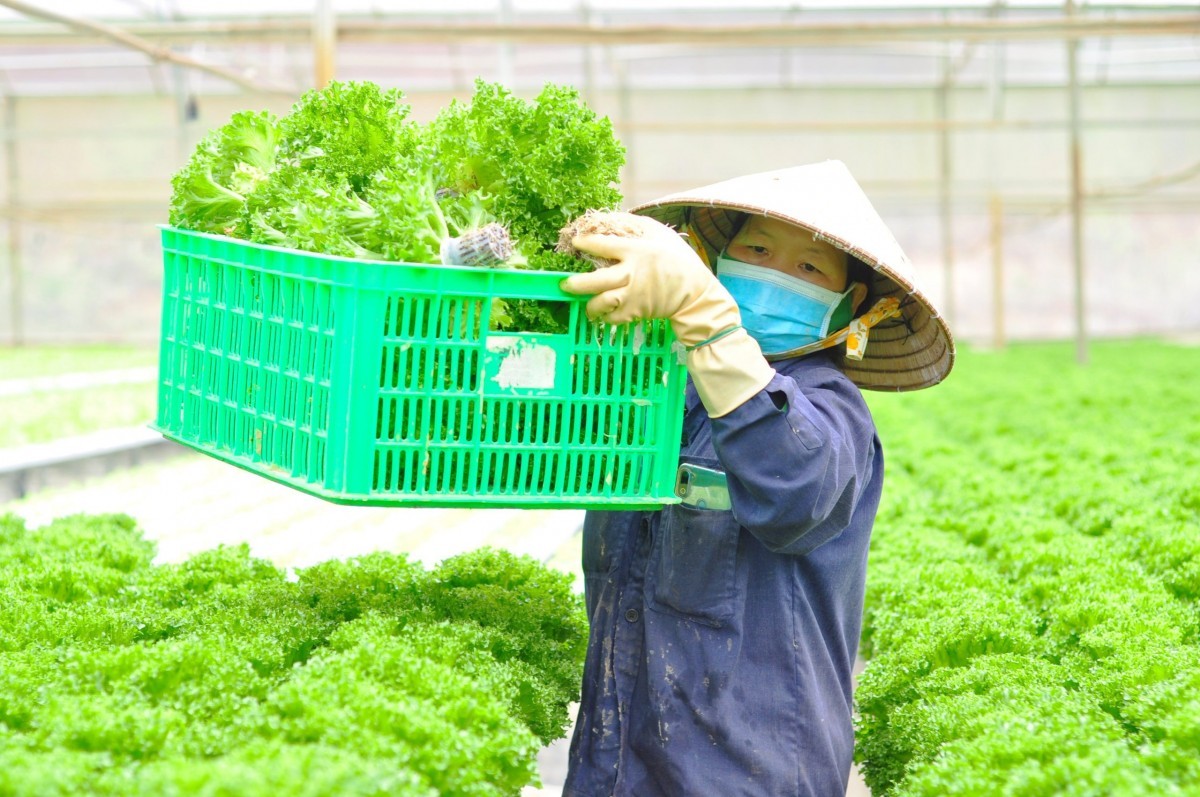 Báo chí có vai trò phát hiện, phản ánh và kết nối những mô hình sản xuất xanh, trong đó có sản xuất hữu cơ, với thị trường và người tiêu dùng.