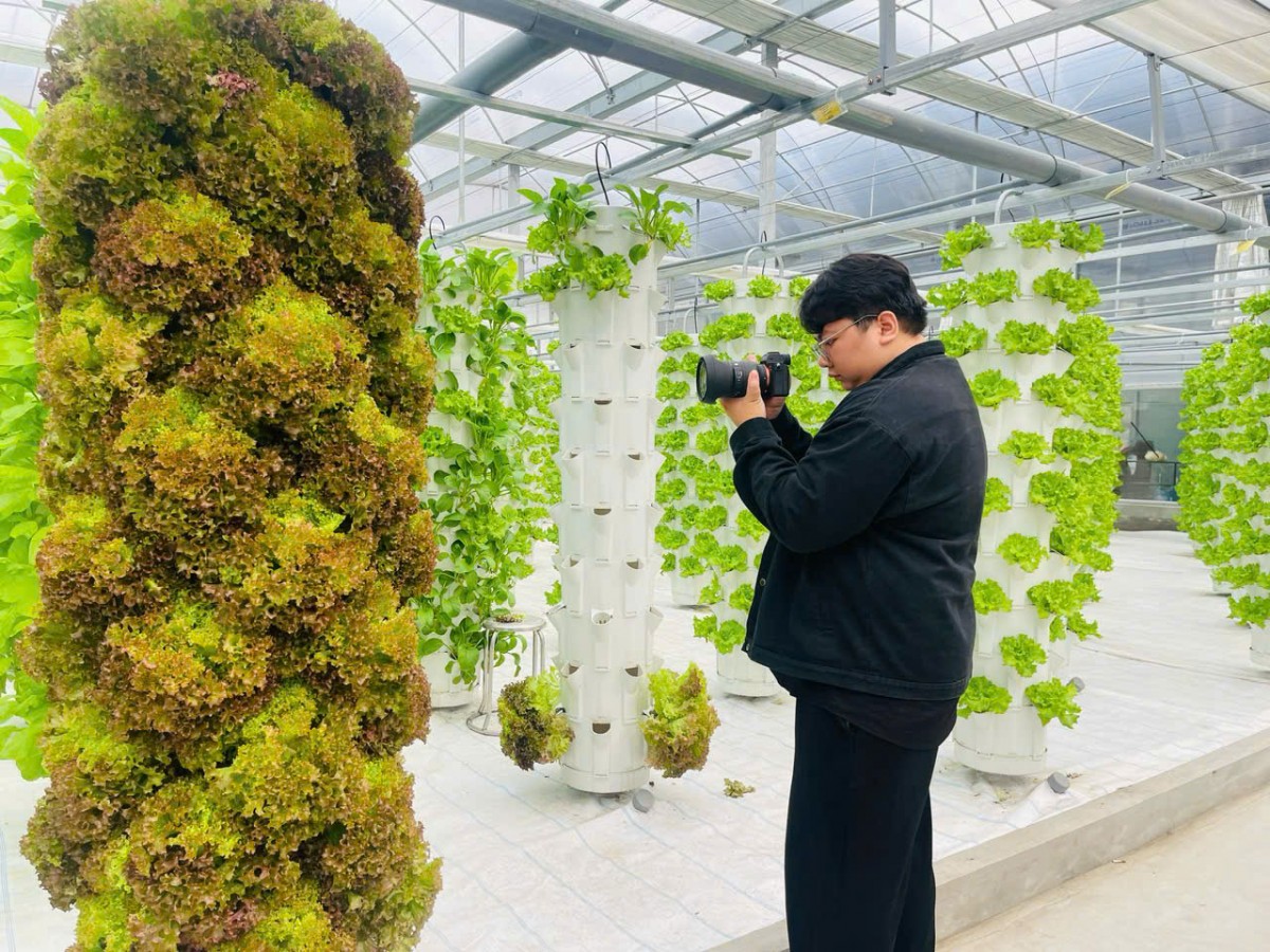 Báo chí có thể góp phần bảo vệ những chủ thể làm thật bằng cách phản ánh đúng nỗ lực xây dựng vùng nguyên liệu, tiêu chuẩn và thương hiệu.