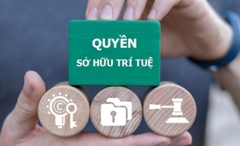 Bộ Chính trị đẩy mạnh công tác sở hữu trí tuệ phục vụ phát triển kinh tế - xã hội