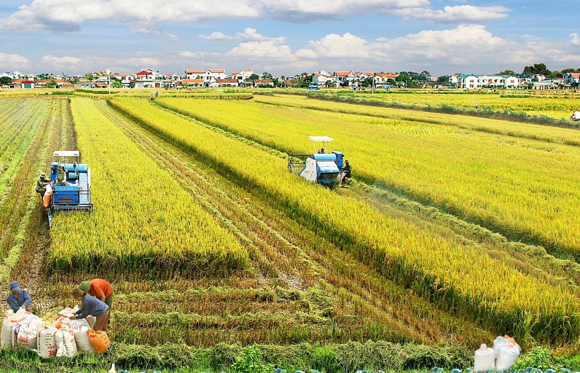 hien thuc hoa khat vong phat trien kinh te nong nghiep sinh thai huu co tuan hoan