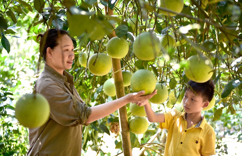 Báo chí là đòn bẩy đưa thương hiệu nông sản Việt Nam ra thế giới