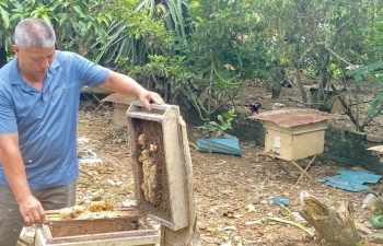 Chuyện người nông dân bền bỉ vượt khó “vun đắp” khát vọng làm giàu