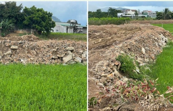UBND tỉnh Lâm Đồng chỉ đạo kiểm tra thông tin phản ánh về thực trạng quản lý đất lúa bị san lấp tại xã Đam Rông 3